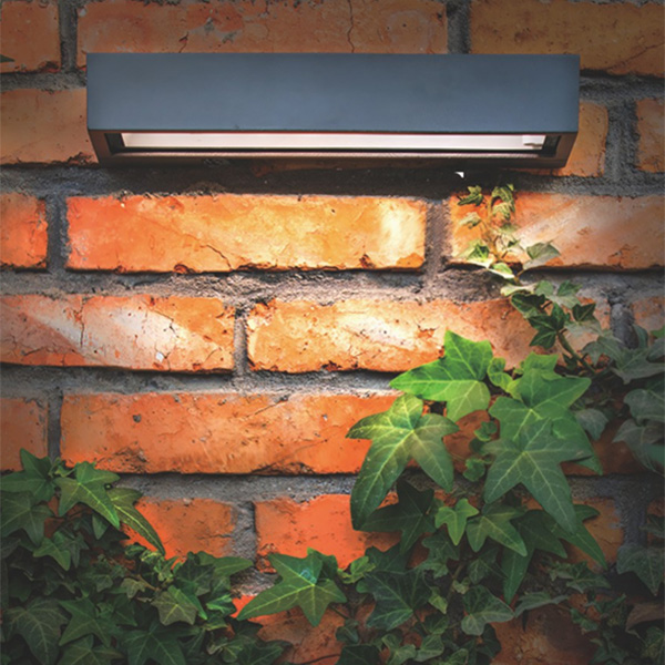 Diqiang Achieves ISO 14001:2015 Upgrade, Reinforcing Green Manufacturing Commitment